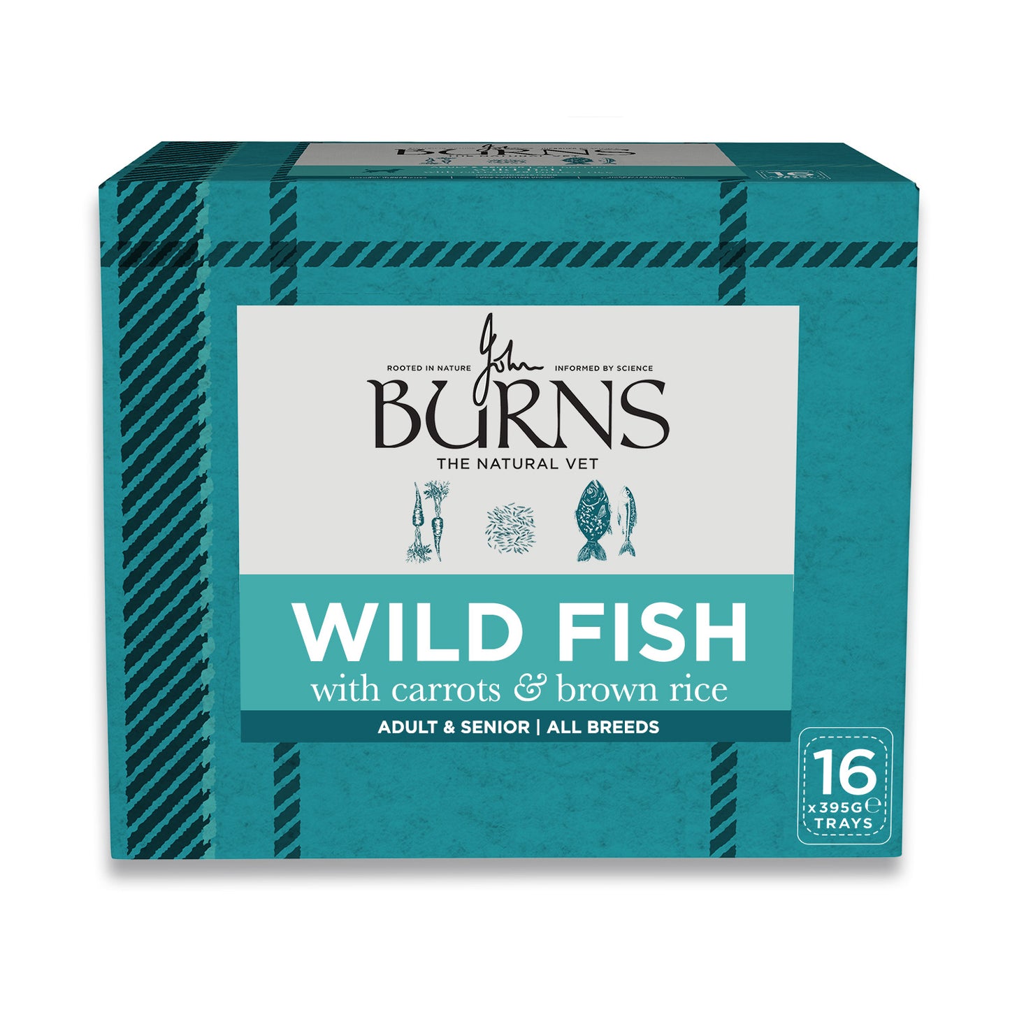Wild Fish, Carrots & Brown Rice Wet Dog Food Burns Pet Nutrition 16 x 395g Trays