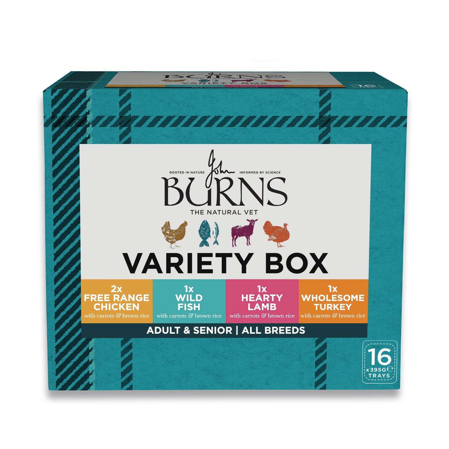 Chicken, Fish, Lamb & Turkey Wet Dog Food Variety Box Burns Pet Nutrition 16 x 395g Trays
