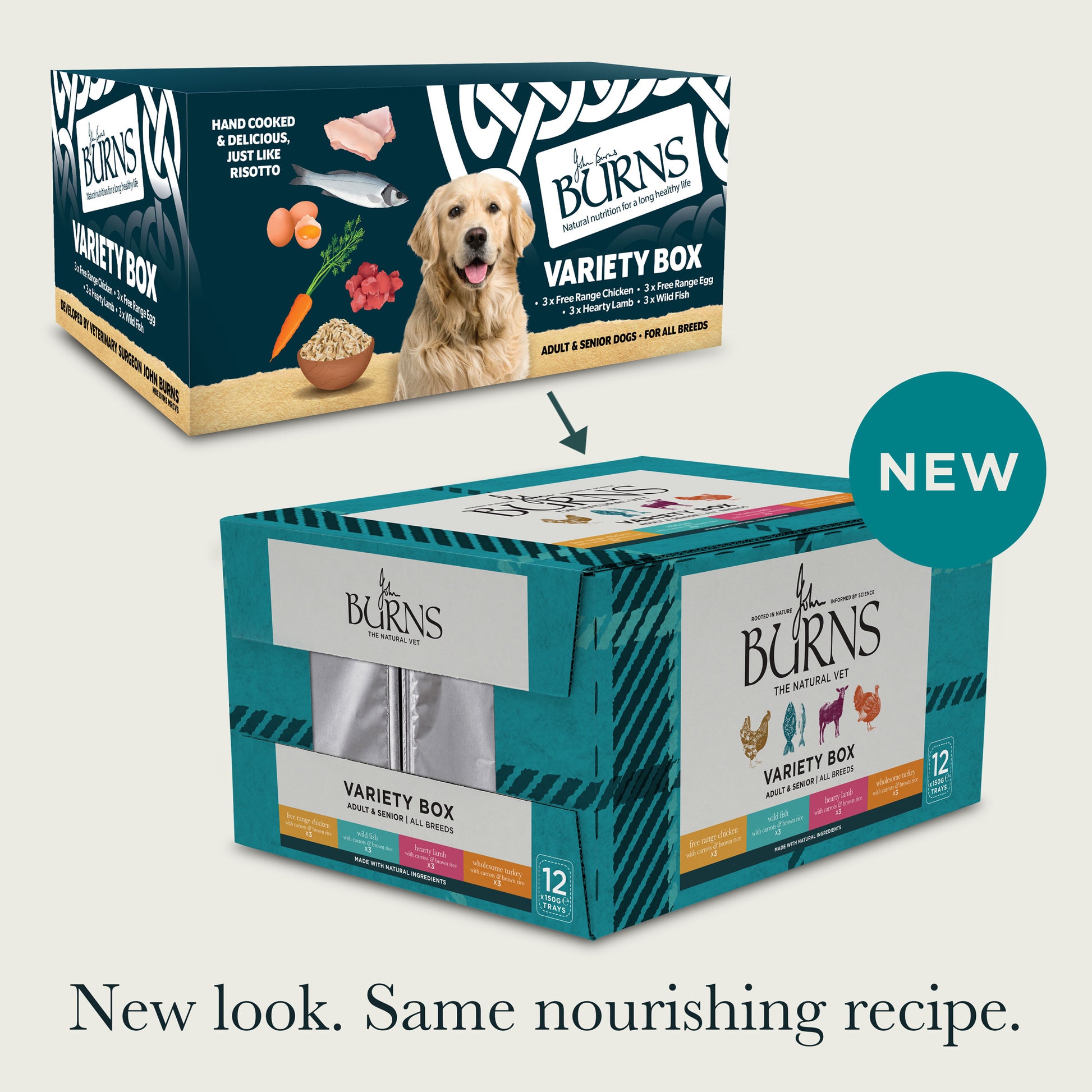 Chicken, Fish, Lamb & Turkey Wet Dog Food Variety Box Burns Pet Nutrition