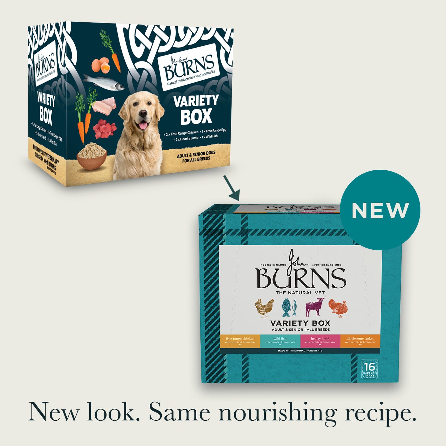 Chicken, Fish, Lamb & Turkey Wet Dog Food Variety Box Burns Pet Nutrition. New look, Same nourishing recipe.