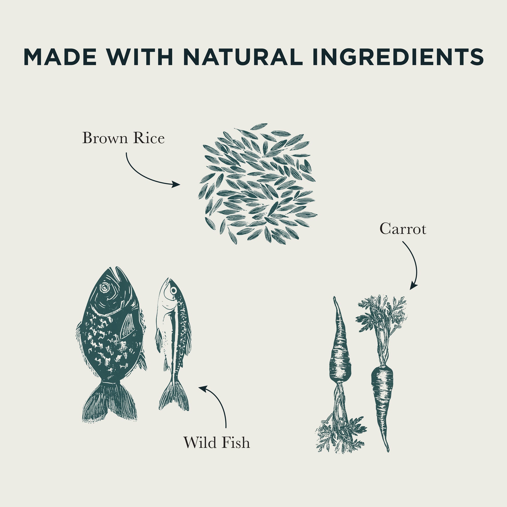 Wild Fish, Carrots & Brown Rice Wet Dog Food Burns Pet Nutrition