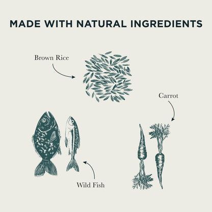 Wild Fish, Carrots & Brown Rice Wet Dog Food Burns Pet Nutrition
