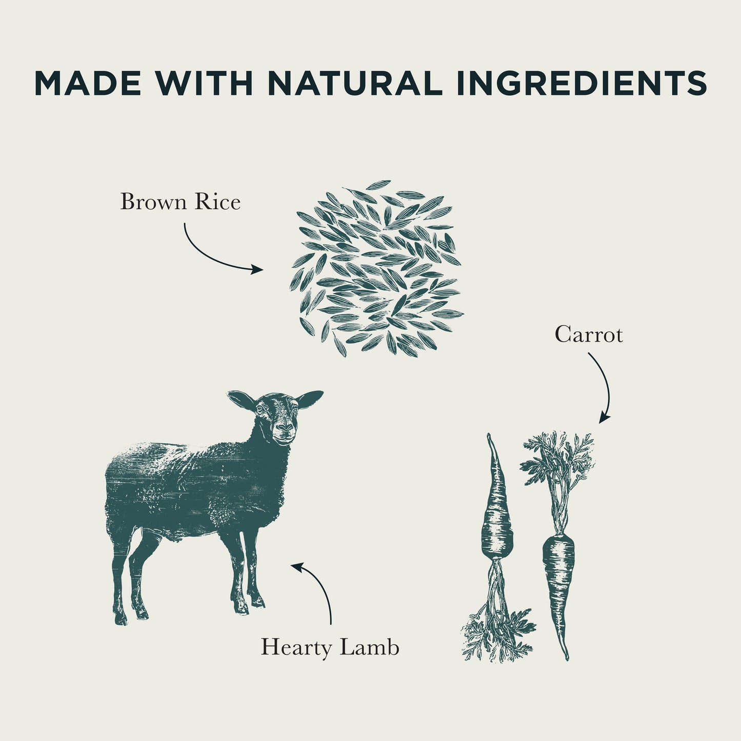 Hearty Lamb, Vegetables & Brown Rice Wet Dog Food Burns Pet Nutrition