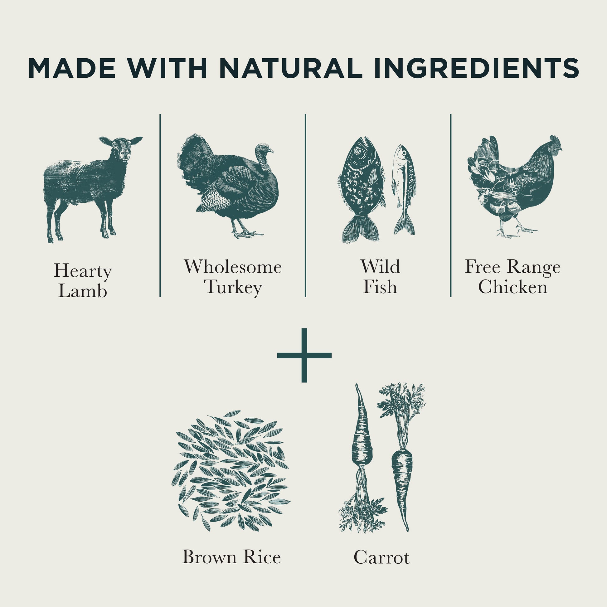Chicken, Fish, Lamb & Turkey Wet Dog Food Variety Box Burns Pet Nutrition