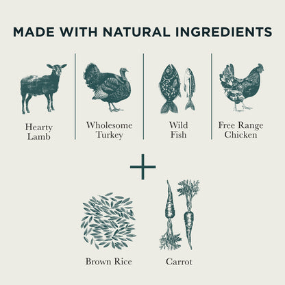 Chicken, Fish, Lamb & Turkey Wet Dog Food Variety Box Burns Pet Nutrition