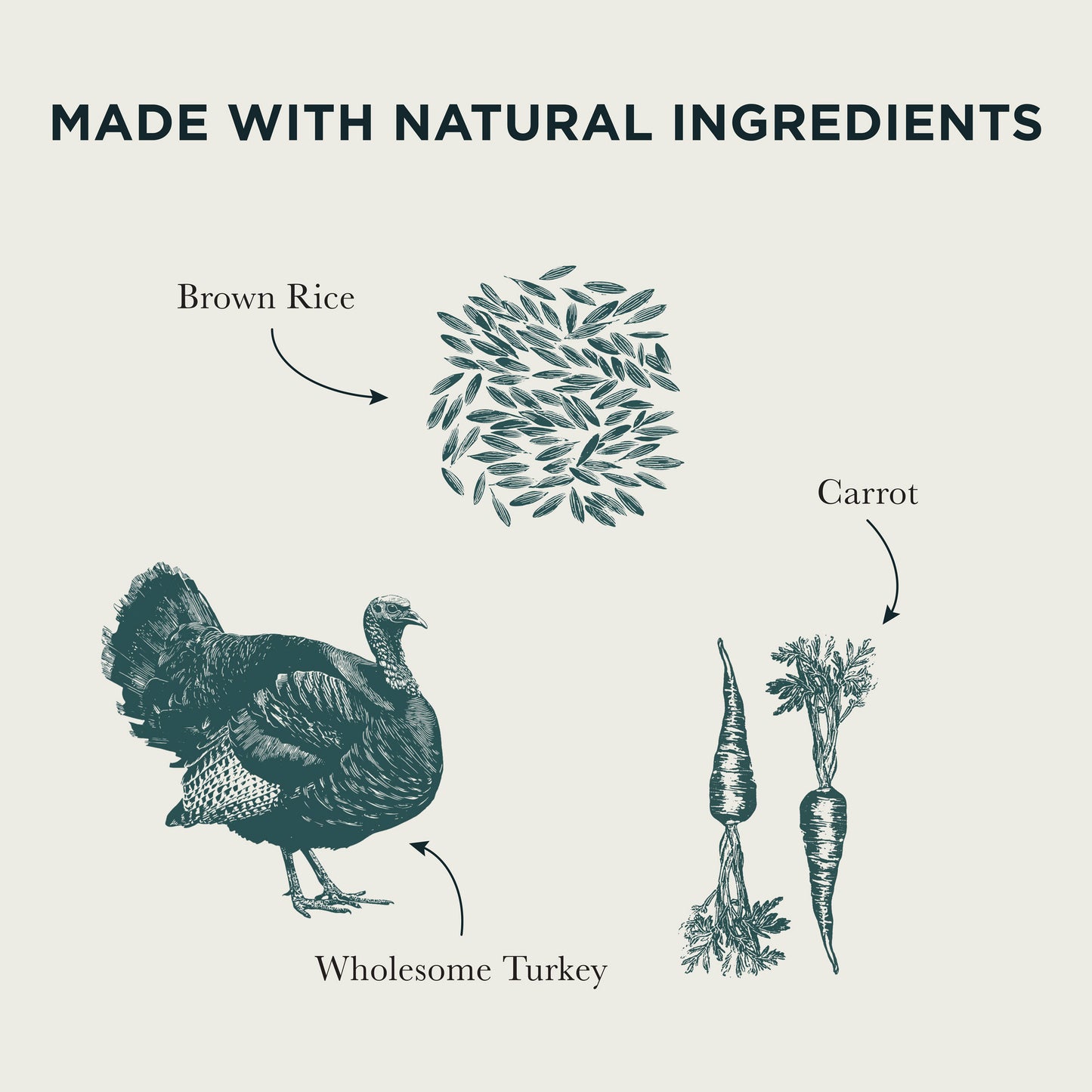 Sensitive Turkey & Potato Dry Dog Food
