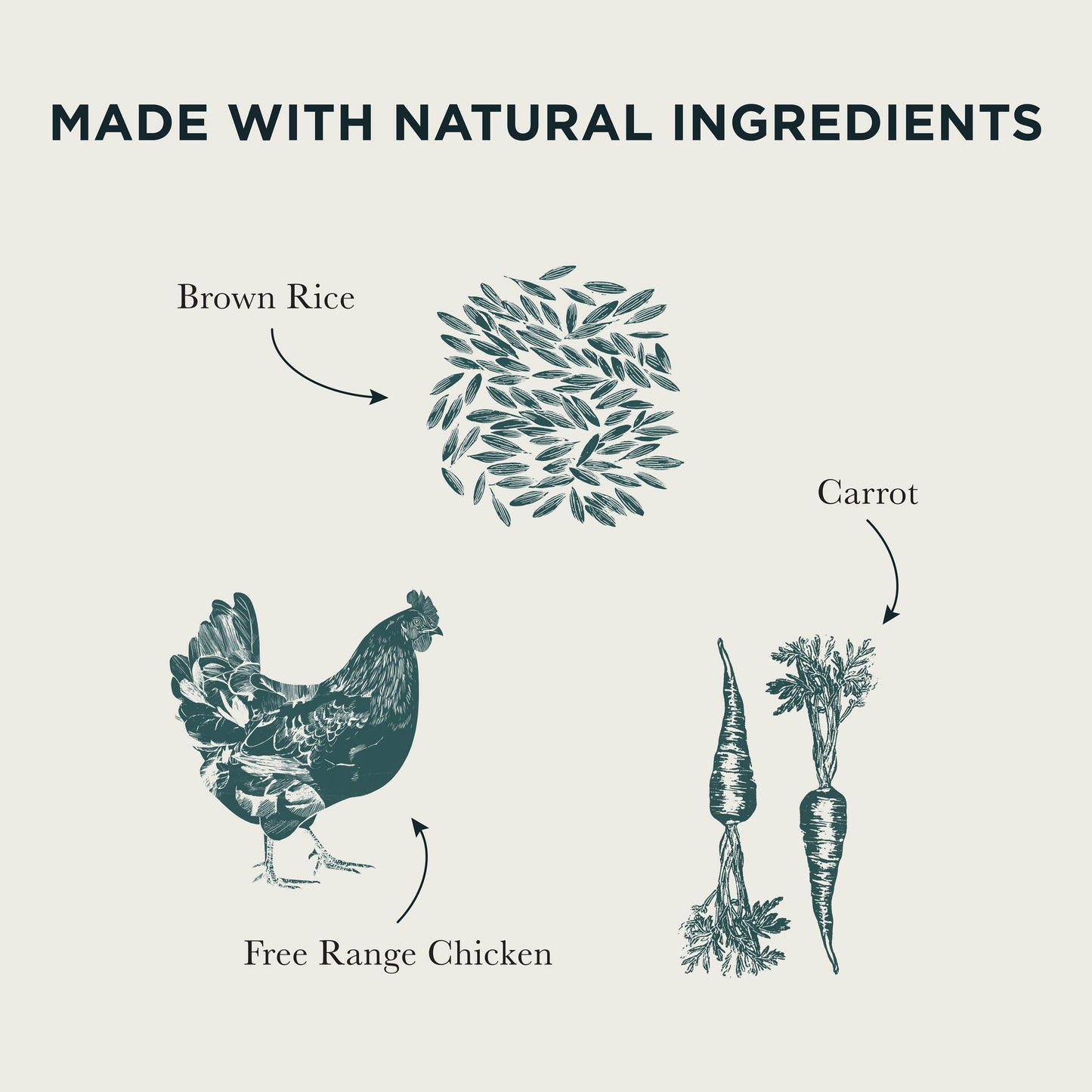Free Range Chicken, Vegetables & Brown Rice Wet Dog Food Burns Pet Nutrition