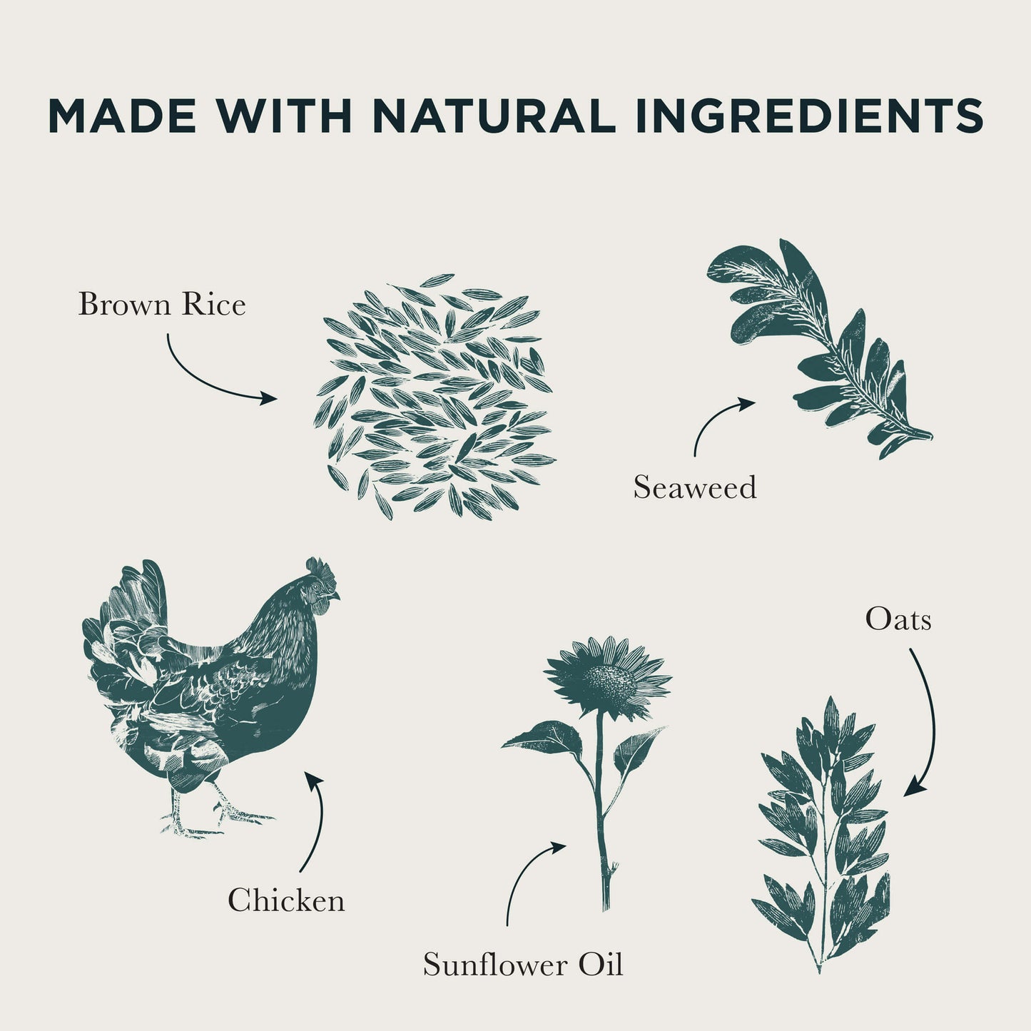 Diagram of natural ingredients used in a product, including brown rice, seaweed, oats, chicken, sunflower oil.