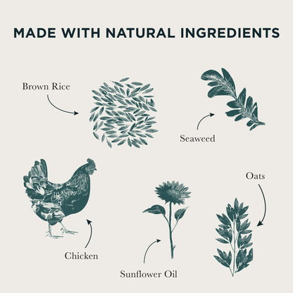 Diagram of natural ingredients used in a product, including brown rice, seaweed, oats, chicken, sunflower oil.