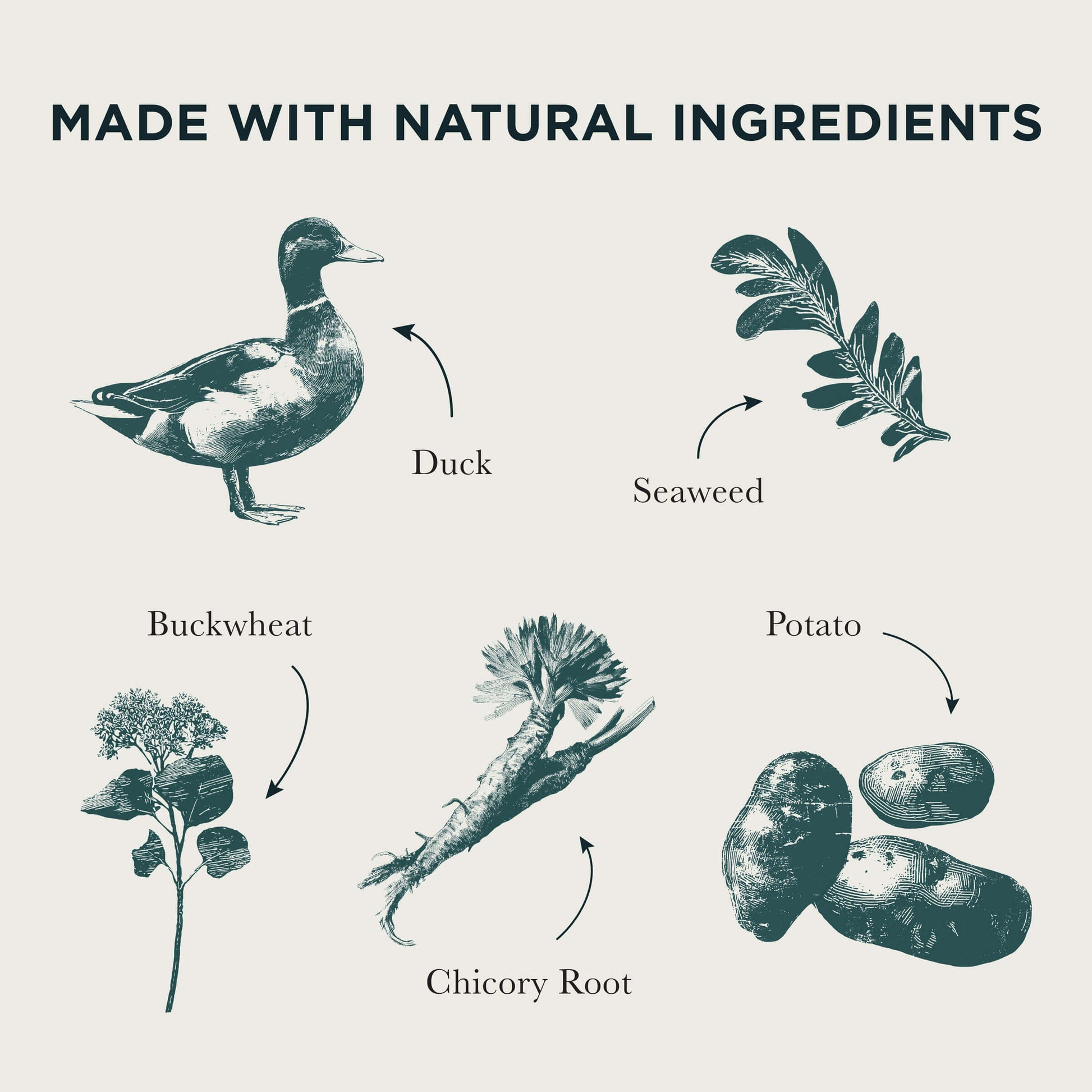 Illustrations of duck, seaweed, buckwheat, chicory root, and potatoes with text 'Made with Natural Ingredients'