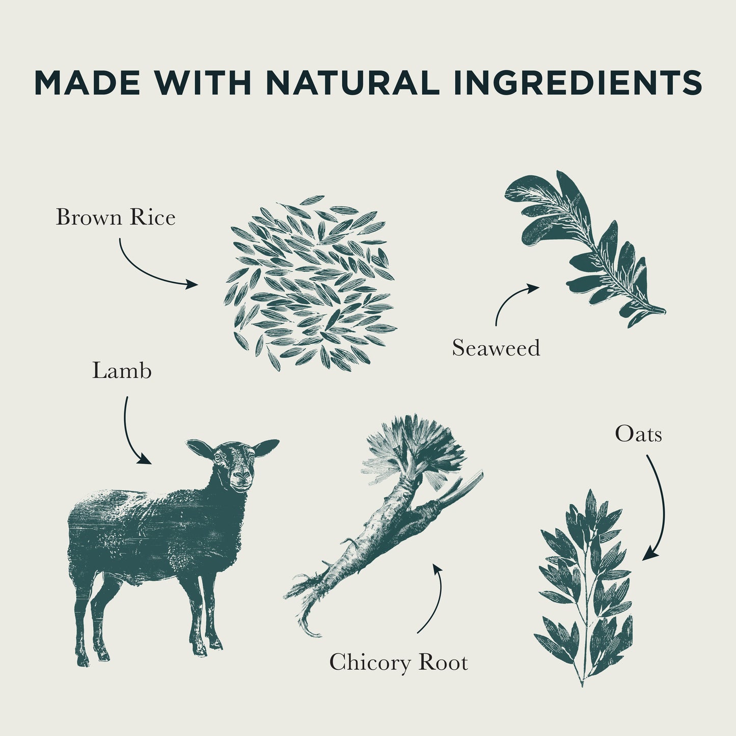 Puppy Original Lamb & Rice Dry Dog Food