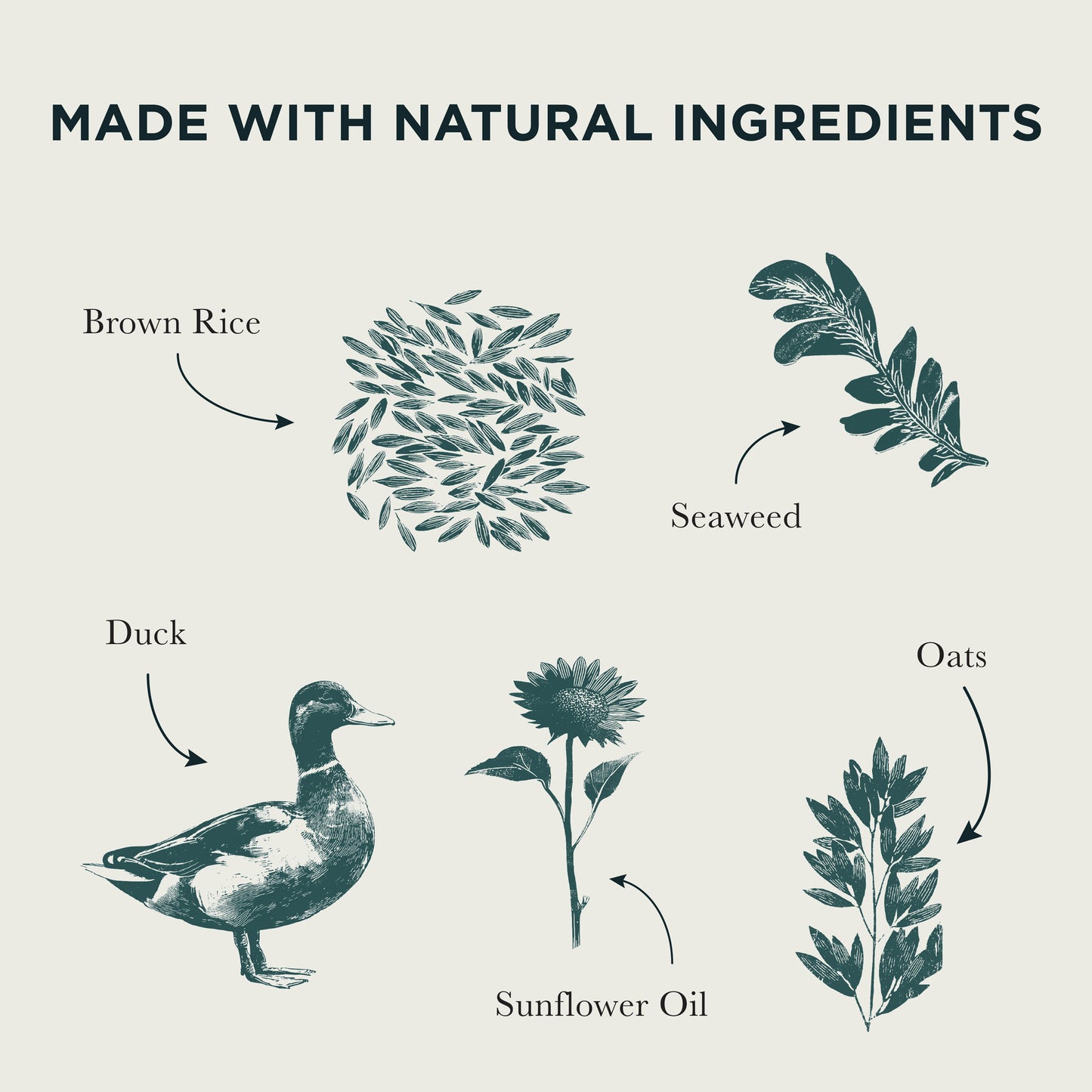 Sensitive Duck & Brown Rice Dry Dog Food