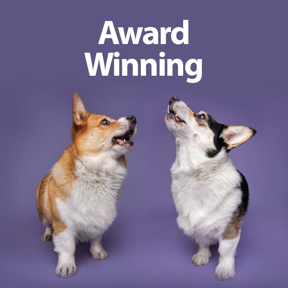 Carrot Bites With 100% Carrot - 150g Burns Pet Nutrition