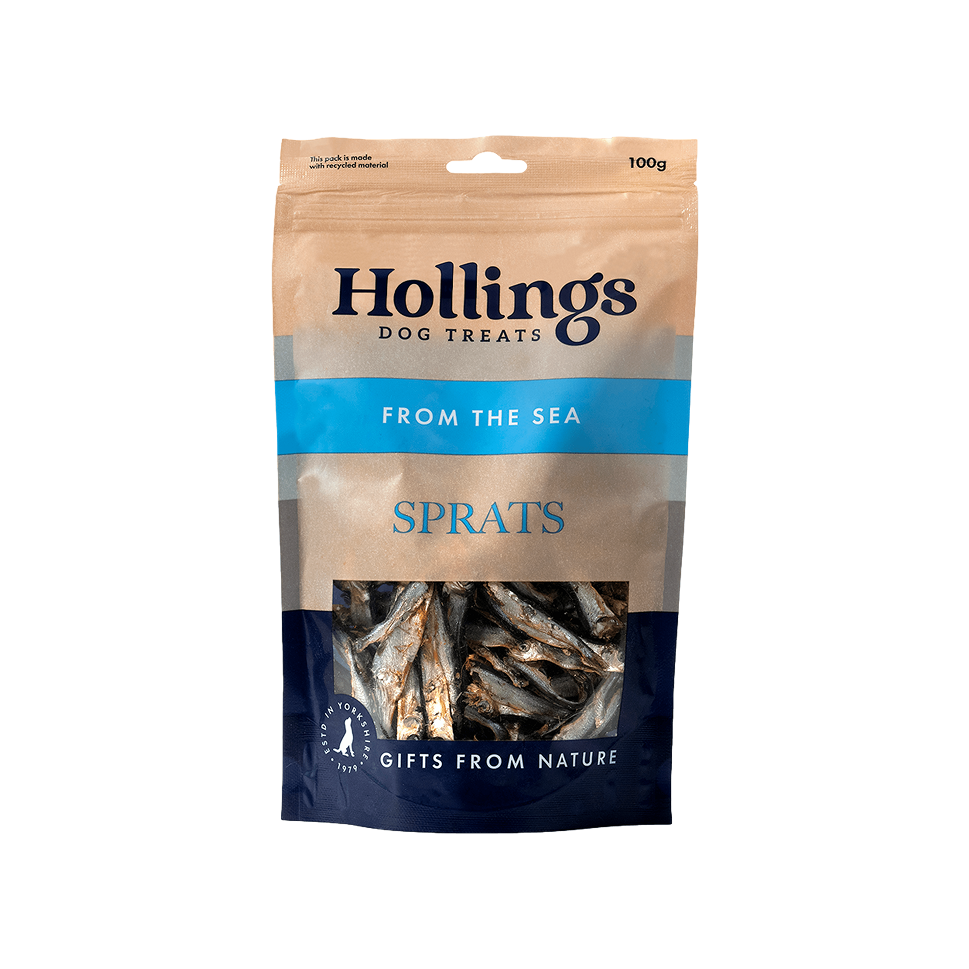 Hollings Sprats Hollings