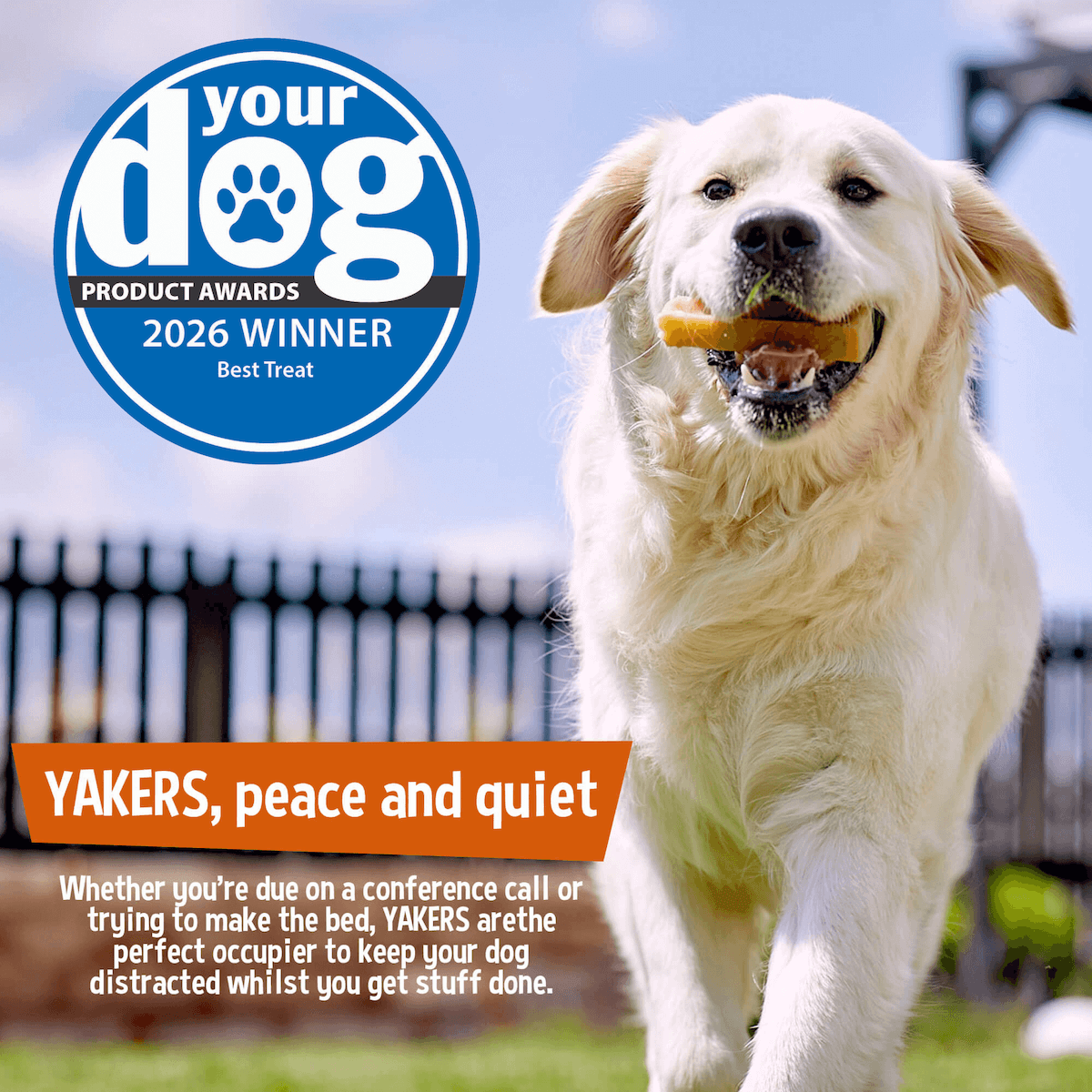 YAKERS Peanut Butter & Banana Dog Chew YAKERS