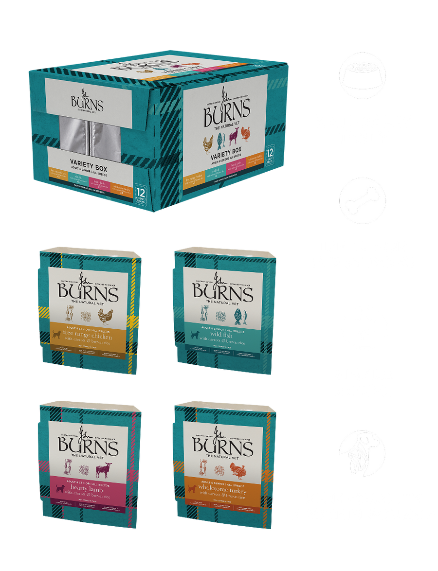 Chicken, Fish, Lamb & Turkey Wet Dog Food Variety Box