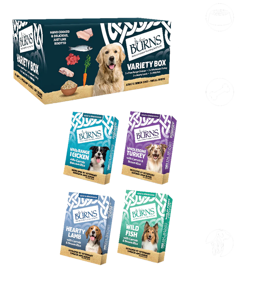 Chicken, Fish, Lamb & Turkey Wet Dog Food Variety Box