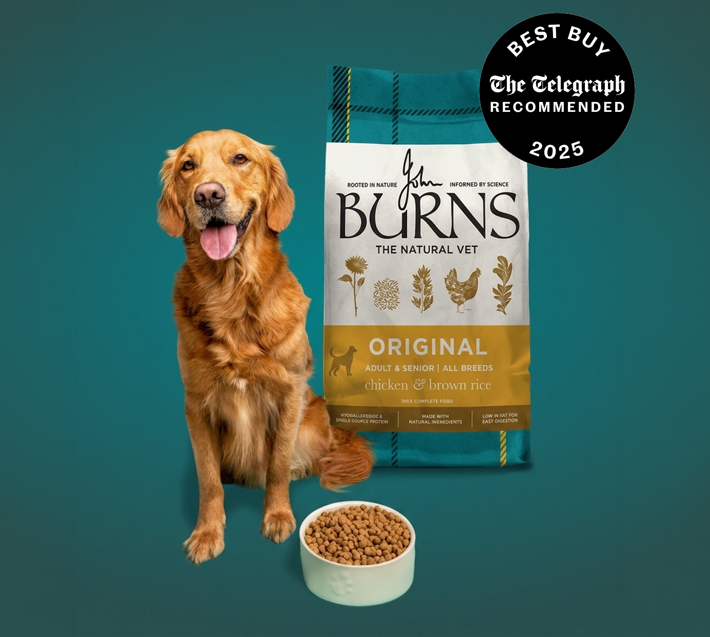 Your Dog’s Daily Support.