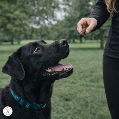 Hollings Pork & Black Pudding Bite-Size Gourmet Sausages Hollings