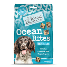 Ocean Bites With White Fish - 100g Burns Pet Nutrition