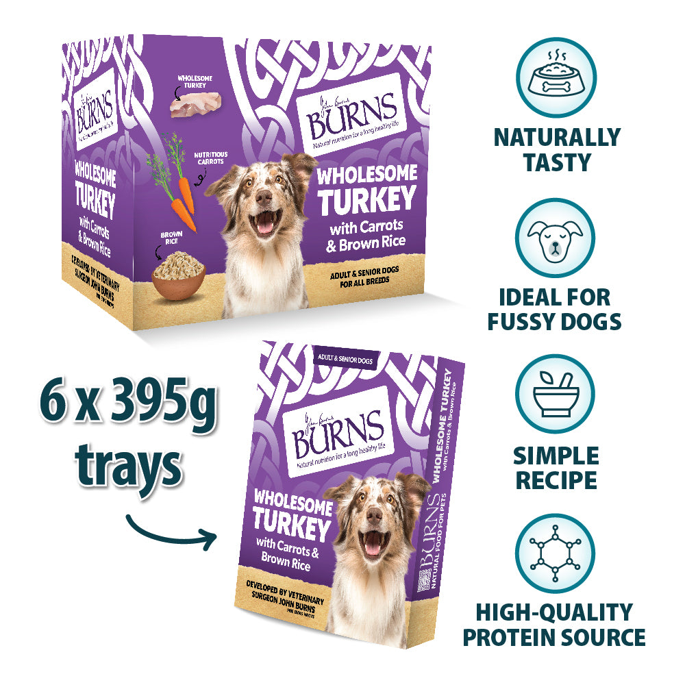 Wholesome Turkey with Carrots & Brown Rice Wet Dog Food Burns Pet Nutrition
