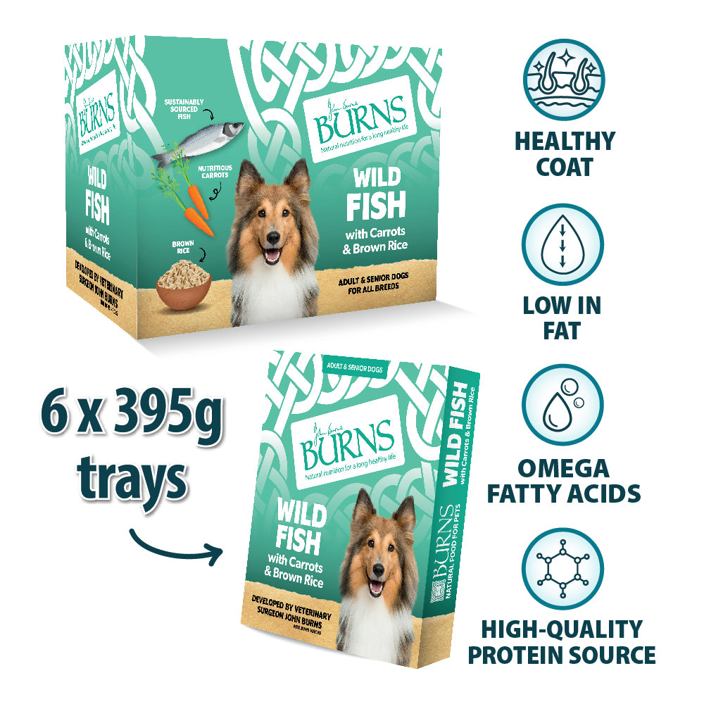 Wild Fish, Carrots & Brown Rice Wet Dog Food Burns Pet Nutrition