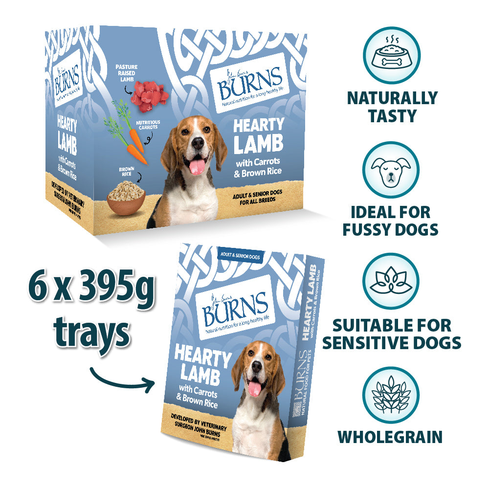 Hearty Lamb, Vegetables & Brown Rice Wet Dog Food Burns Pet Nutrition