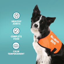 Active Working Chicken & Rice Dry Dog Food Burns Pet Nutrition