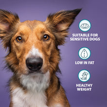 Weight Control Chicken & Oats Dry Dog Food Burns Pet Nutrition