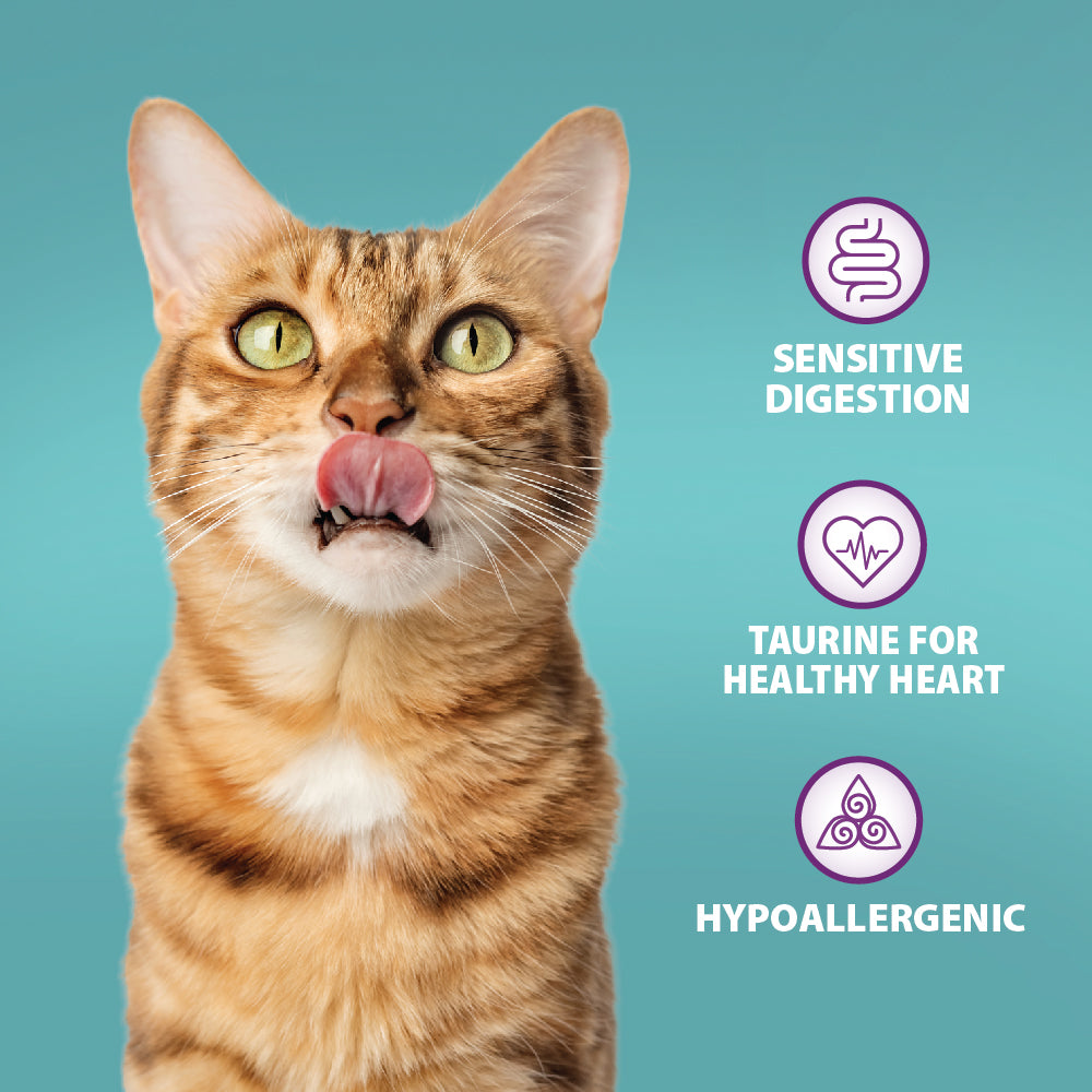 Original Turkey & Brown Rice Cat Food Burns Pet Nutrition