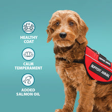 Alert Assistance Chicken & Brown Rice Dry Dog Food Burns Pet Nutrition