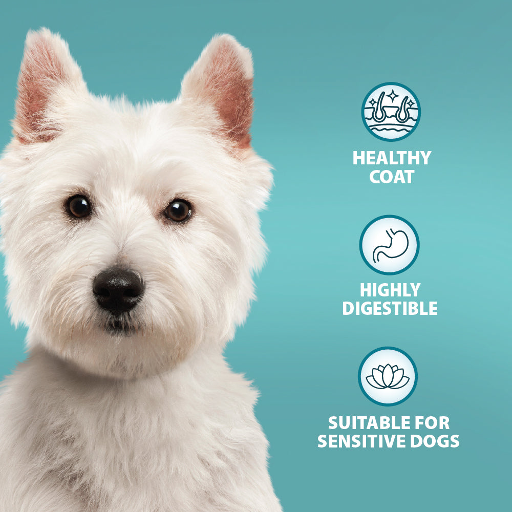 Sensitive Duck & Brown Rice Dry Dog Food Burns Pet Nutrition
