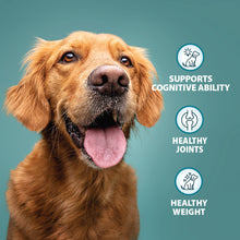 Senior+ Toy/Small Breed Chicken & Brown Rice Dry Dog Food Burns Pet Nutrition