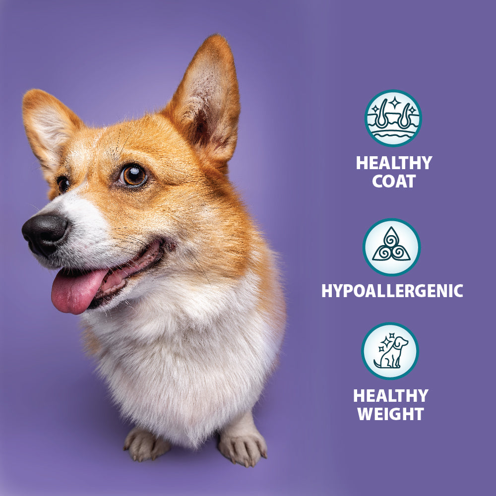 Sensitive Duck & Potato Dry Dog Food Burns Pet Nutrition