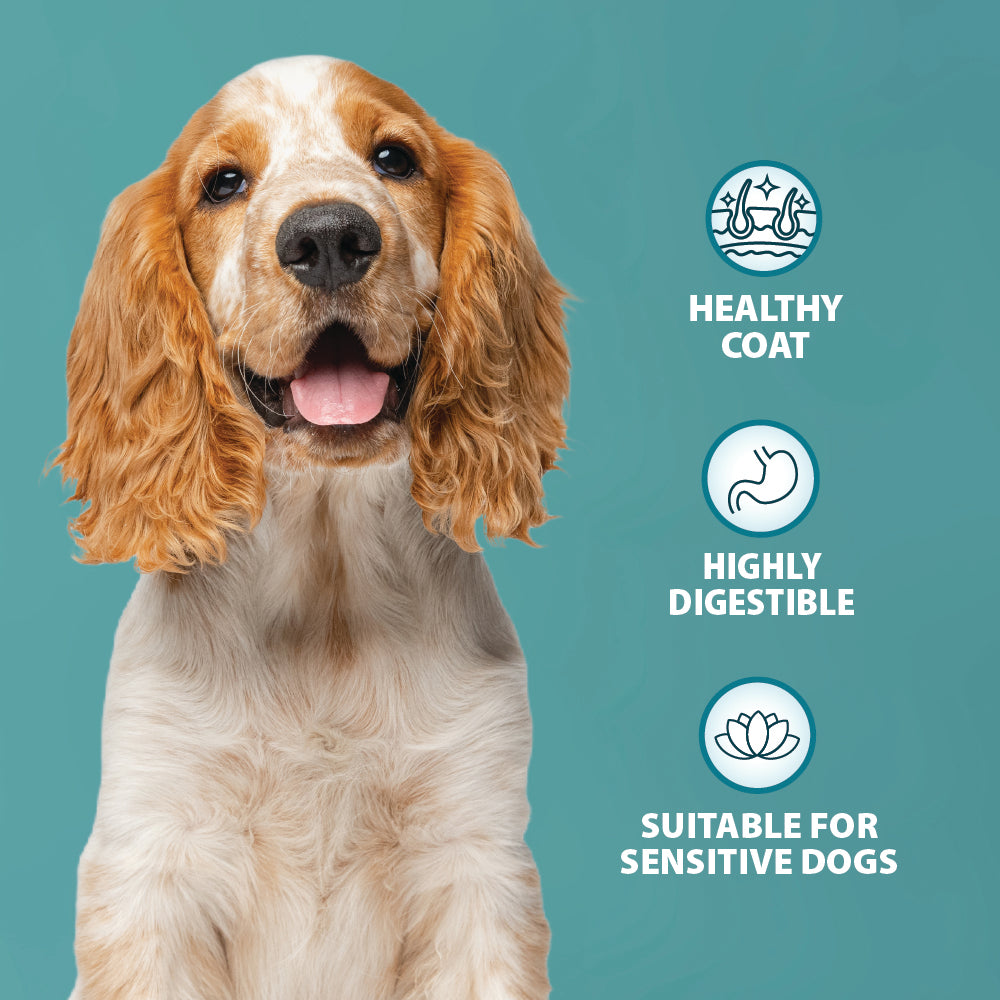 Sensitive Turkey & Potato Dry Dog Food Burns Pet Nutrition