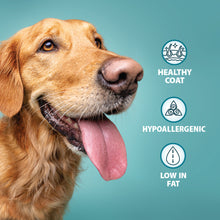 Original Chicken & Brown Rice Dry Dog Food Burns Pet Nutrition