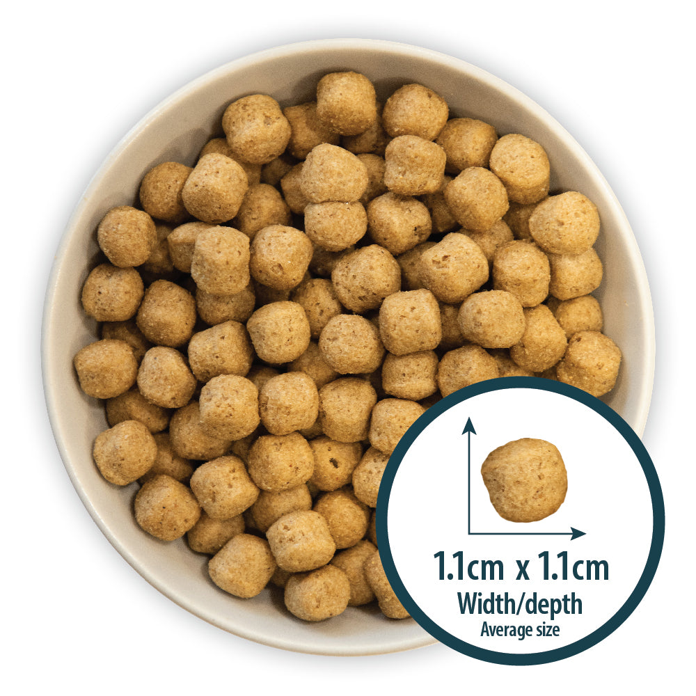 Senior+ Medium/Large Breed Chicken & Brown Rice Dry Dog Food Burns Pet Nutrition