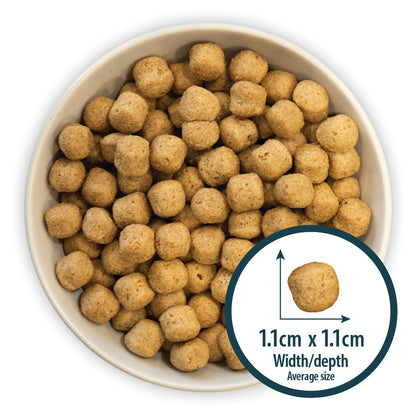 Senior+ Medium/Large Breed Chicken & Brown Rice Dry Dog Food Burns Pet Nutrition