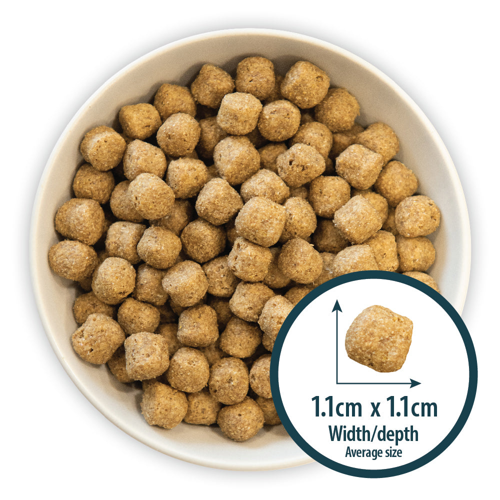 Sensitive Duck & Brown Rice Dry Dog Food Burns Pet Nutrition