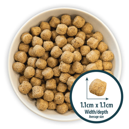 Sensitive Duck & Brown Rice Dry Dog Food Burns Pet Nutrition