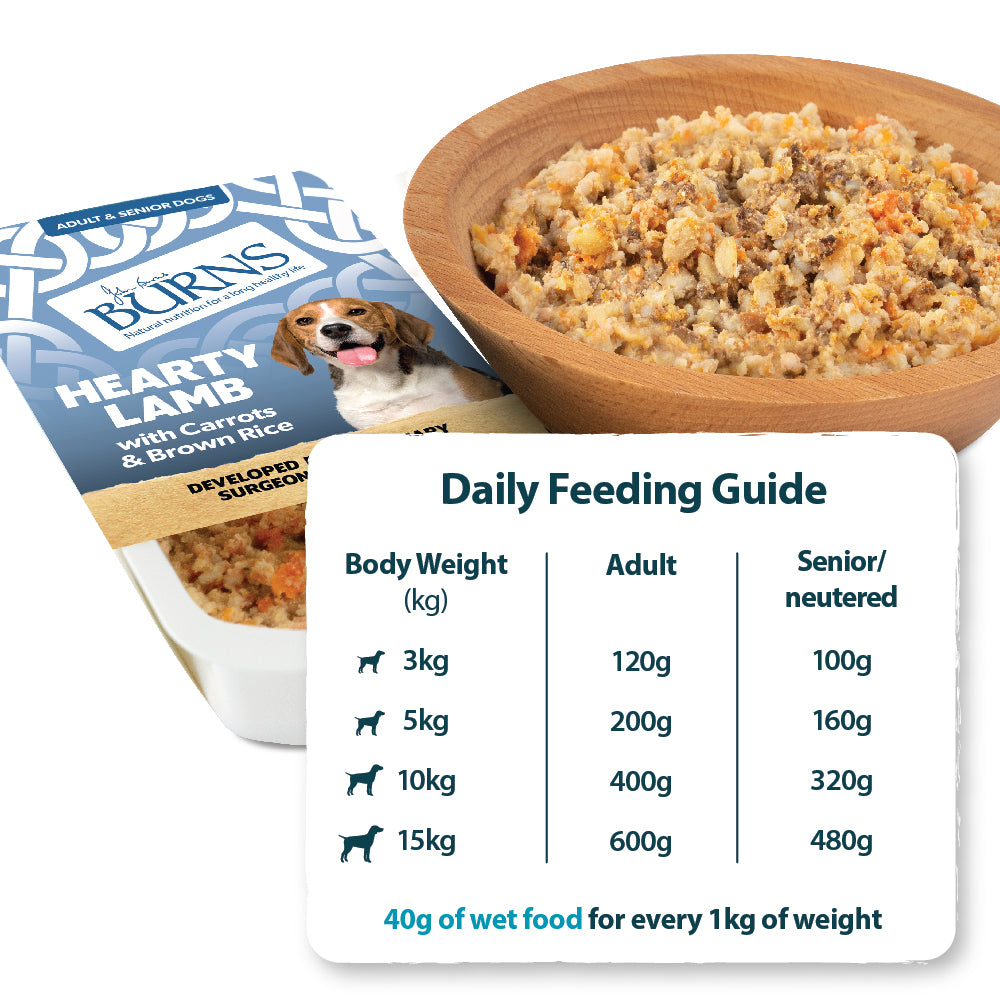 Hearty Lamb, Vegetables & Brown Rice Wet Dog Food Burns Pet Nutrition