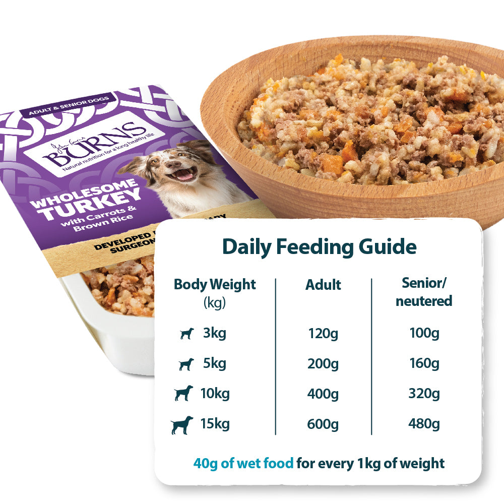 Chicken, Fish, Lamb & Turkey Wet Dog Food Variety Box Burns Pet Nutrition
