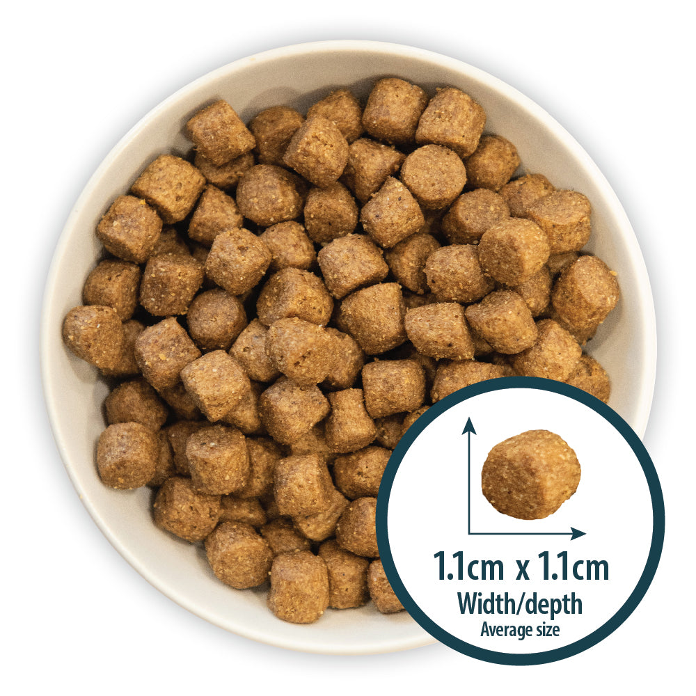 Puppy Grain Free Duck & Potato Dry Dog Food Burns Pet Nutrition