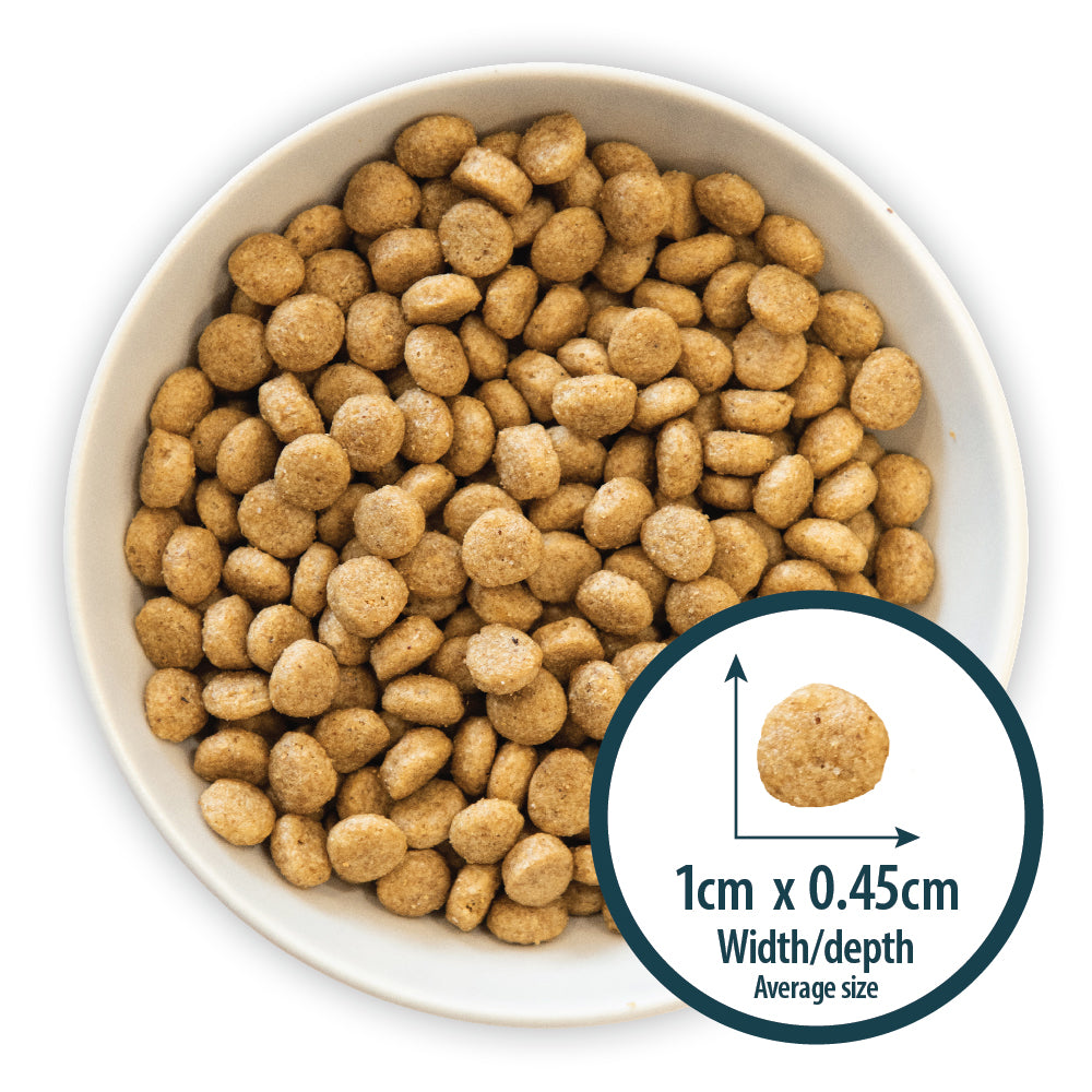 Puppy Mini Chicken & Rice Dry Dog Food Burns Pet Nutrition