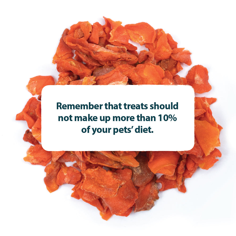 Carrot Bites With 100% Carrot - 150g Burns Pet Nutrition