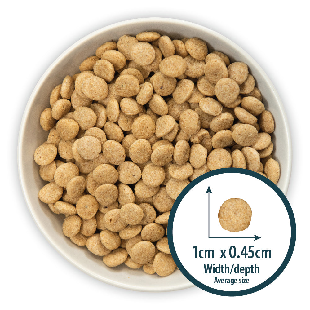 Senior+ Toy/Small Breed Chicken & Brown Rice Dry Dog Food Burns Pet Nutrition