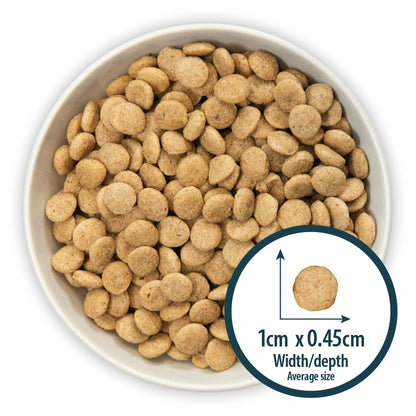 Toy & Small Breed Original Chicken & Rice Dry Dog Food Burns Pet Nutrition