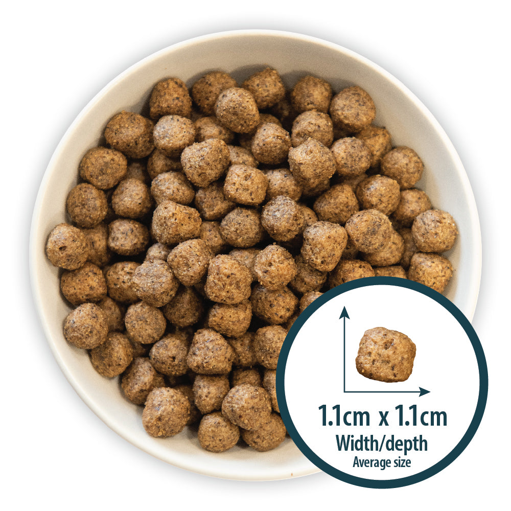 Sensitive Duck & Potato Dry Dog Food Burns Pet Nutrition