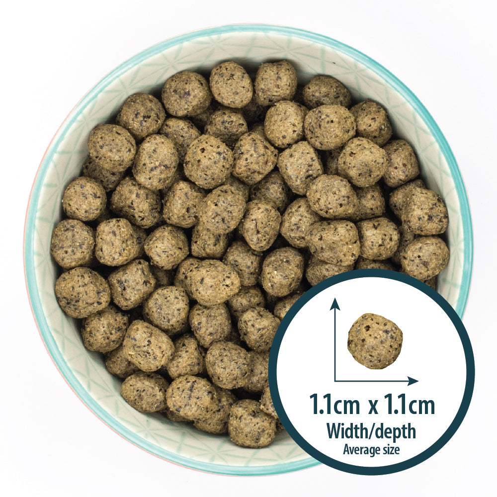 Sensitive Turkey & Potato Dry Dog Food Burns Pet Nutrition
