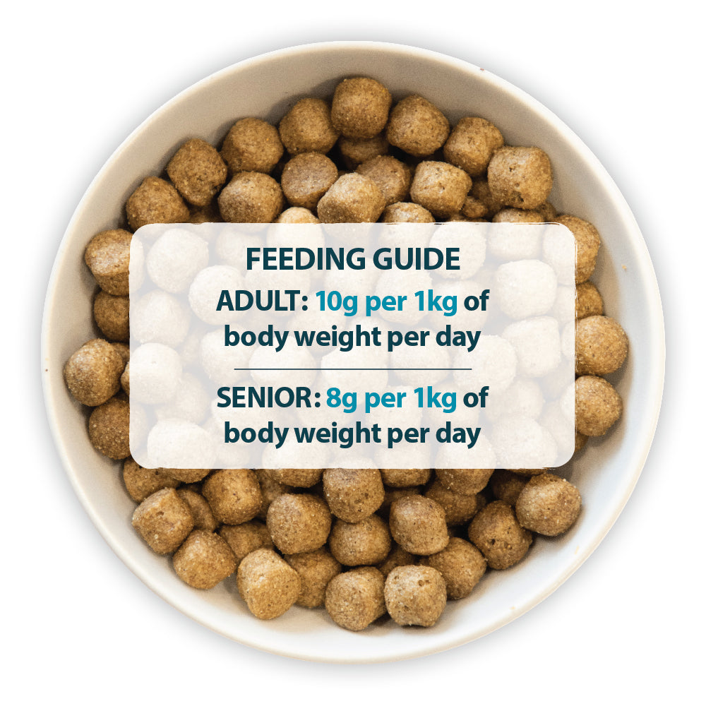 Original Fish & Brown Rice Dry Dog Food Burns Pet Nutrition